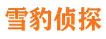 大兴安岭市婚姻调查